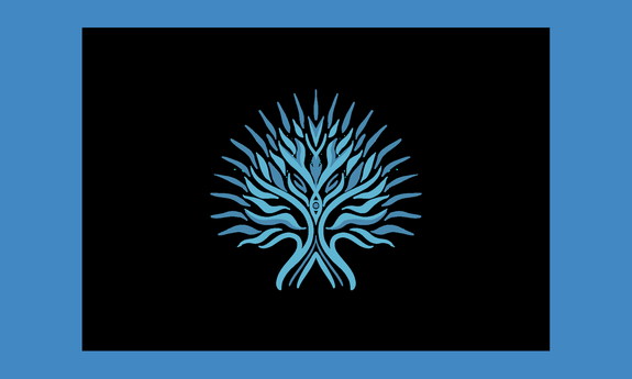 Bezpłatny program edukacyjny InsightED